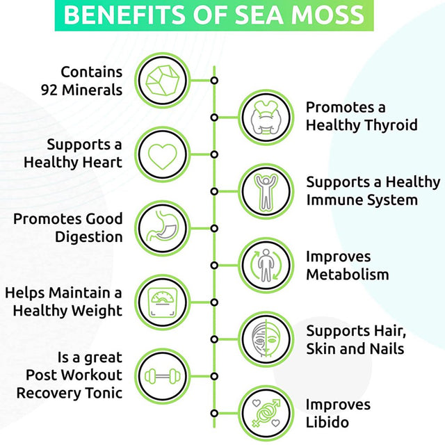 Trueseamoss Wildcrafted Irish Sea Moss Gel – Nutritious Raw Seamoss Rich in Minerals, Proteins & Vitamins – Antioxidant Health Supplement, Vegan-Friendly Made in USA (Apple, 1)