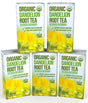 Dandelion Root Tea - Raw Organic Vitamin Rich Digestive - 5 Pack (100 Bags 2 Grams Each) - Detox Tea - Ideal to Help Improve Digestion and Strengthen Immune System - Anti-Inflammatory and Antioxidant