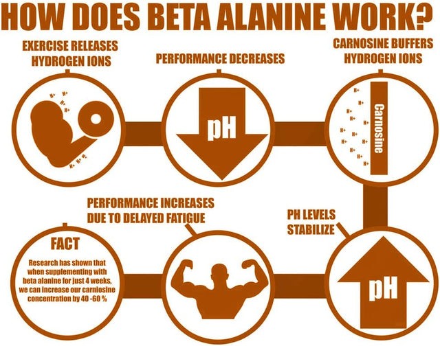 Beta Alanine Powder. Bulk Pre Workout Supplement 1000 Grams (2.2 Lbs) 333 Servings Unflavored. Value Sized Bag.