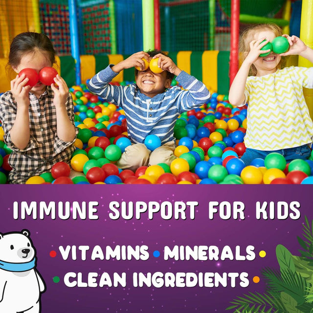 Kids Immune Support Gummies with Vitamin C, Zinc & Echinacea, Daily Childrens Immune Support Vitamin, Gluten Free & Non-Gmo Chewable Immune Support for Kids Gummy, Berry Flavored - 120 Gummies