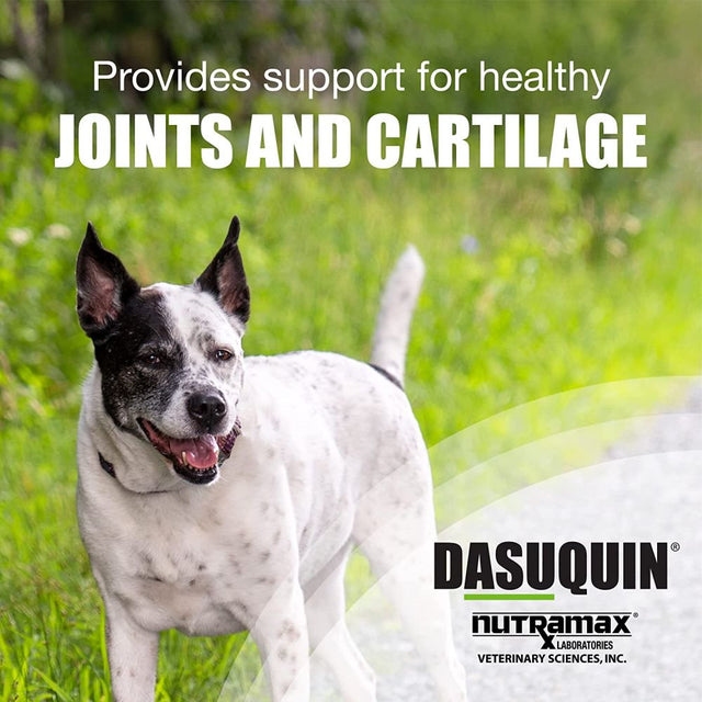 Dasuquin Chewable Tablets for Large Dogs 150Ct