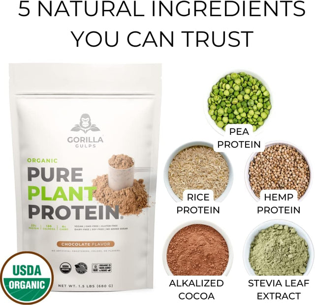 100% Organic Pure Plant Protein Powder | USDA Certified | Organic Protein Powder | Vegan | Non-Gmo | Sugar, Soy, Dairy, & Gluten Free | 20 Servings - Chocolate