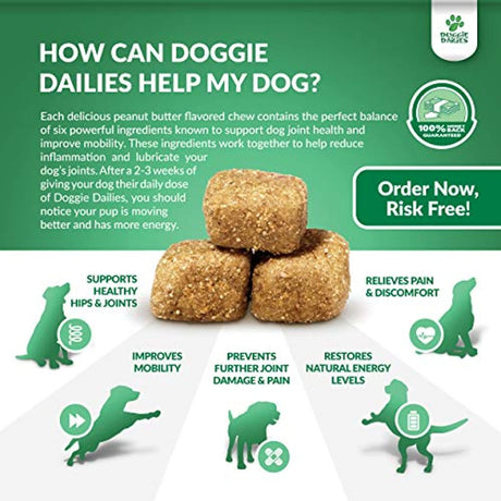 Doggie Dailies Glucosamine for Dogs, 225 Soft Chews, Advanced Hip and Joint Supplement for Dogs with Glucosamine, Chondroitin, MSM, Hyaluronic Acid and Coq10, Premium Dog Glucosamine (Peanut Butter)