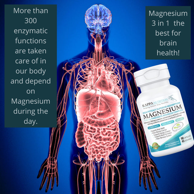 Magnesium, L-Threonate (90 Capsules), 2,253Mg per Serving, Providing 420Mg Elemental, Bisglycinate Chelate, Malate, for Brain, Sleep, Stress, Cramps, Headaches, Energy, Heart, from Kappa Nutrition.