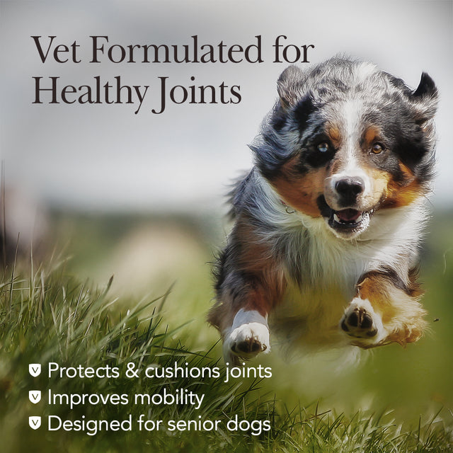 Nutri-Vet Hip and Joint Chewables for Dogs, Advanced Strength, 300 Count