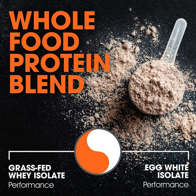 Whey Protein Powder for Lean Muscle Growth & Recovery - Dual Protein Blend Egg White Isolate, Chocolate, Genius Protein by the Genius Brand