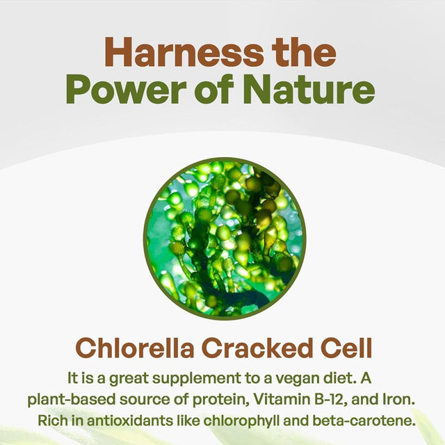 Chlorella Tablets Organic Broken Cell 3000Mg per Serving,1000 Tablets Superfood