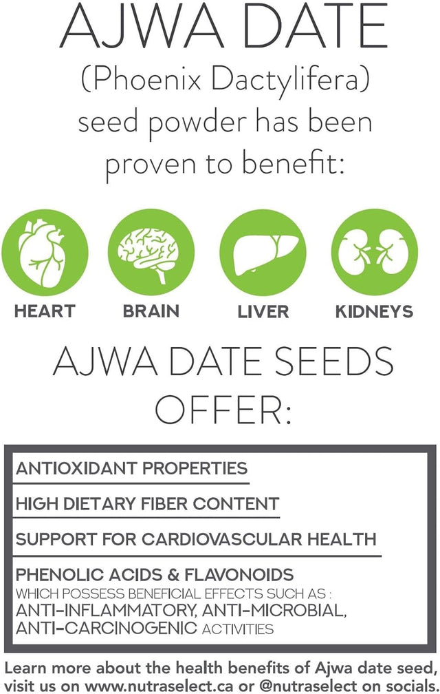 Ajwa Date Seed Powder – Unroasted – 100G – All Natural Nutrition Powder – (Vegan/Non-Gmo/Gluten Free) Proudly Canadian Product