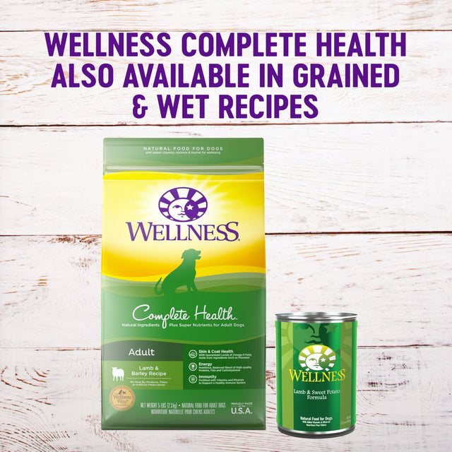 Wellness Complete Health Natural Grain Free Dry Dog Food, Lamb, 24-Pound Bag