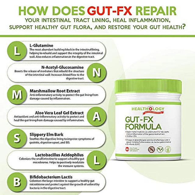 Healthology GUT-FX | Gut Supplement | Helps Repair Leaky Gut, Reduces Inflammation in the Digestive Tract & Relieves Bloating | Contains Probiotics, L-Glutamine, Marshmallow Root |