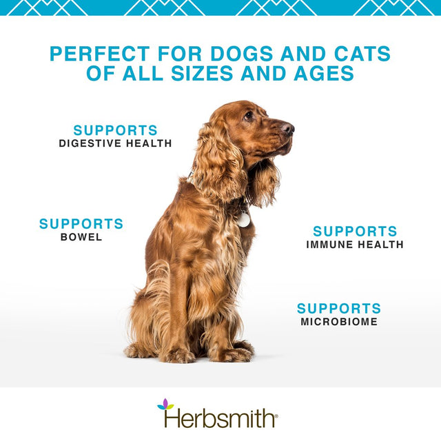 Herbsmith Microflora plus – Dog Digestion Aid –Probiotics and Digestive Enzymes for Dogs – Prebiotic for Dogs – 30 Capsules