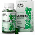 Wild & Organic Chlorophyll Gummies - Natural Energy Booster Chlorophyll Supplement, 60 Chews