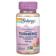 Solaray Vital Extracts Super Bio Turmeric, 300 Mg, 30 Vegcaps