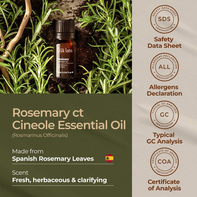 Gya Labs Spain Rosemary Oil for Hair & Scalp (0.34 Fl Oz) - Natural Rosemary Essential Oils for Hair, Skin & Diffuser