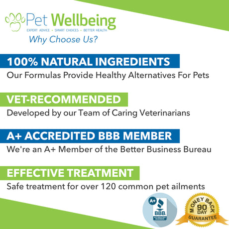 Pet Wellbeing Natural Immune System Support for Old Dogs - Old Friend 2Oz (59Ml)