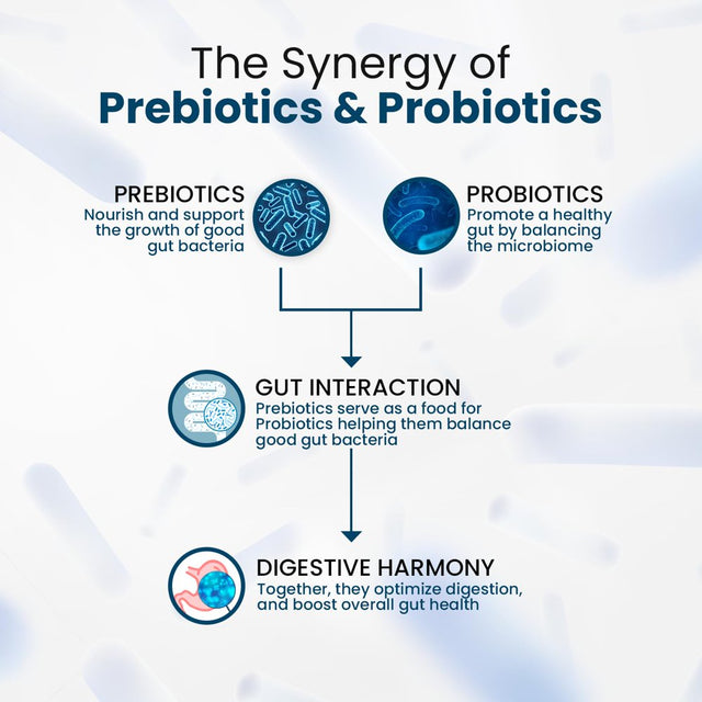 Himalayan Orgnics Probiotics 50 Billion CFU - 20 Strain + 150Mg Prebiotic Supplement | Good for Digestive, Gut Health, Immunity, Diarrhea, Gas & Bloating Support- 60 Vegetarian Capules