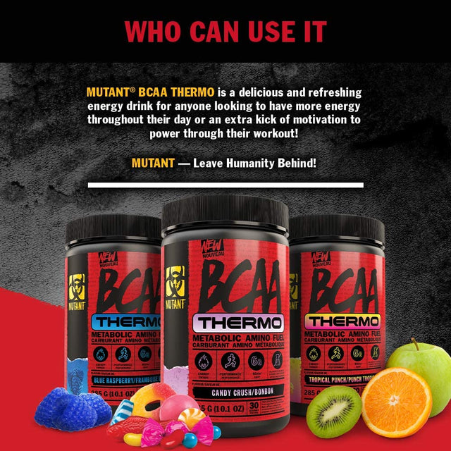 Mutant BCAA Thermo – Supplement BCAA Powder with Micronized Amino Acid and Energy Support - 285 G - Candy Crush