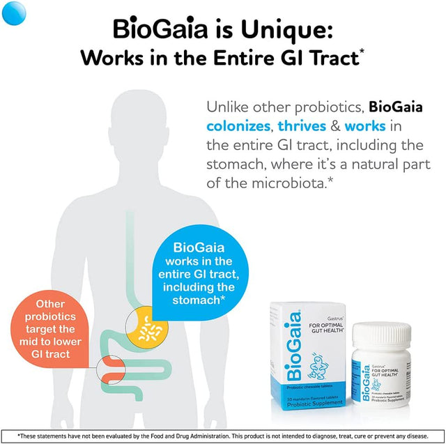 Biogaia Gastrus Chewable Tablets, Adult Probiotic Supplement for Stomach Discomfort, Constipation, Gas, Bloating, Regularity, Non-Gmo, 30 Tablets, 2 Pack