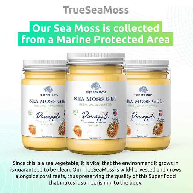 Trueseamoss Wildcrafted Irish Sea Moss Gel – Nutritious Raw Seamoss Rich in Minerals, Proteins & Vitamins – Antioxidant Health Supplement, Vegan-Friendly Made in USA (Pineapple, 3)