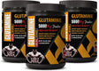 Post Workout Muscle Builder - GLUTAMINE Powder 5000MG - PRE and Post Workout - L-Glutamine Supplement - 3 Cans 900 Grams