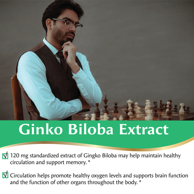 Ginkgo Biloba Extract 120 Mg Memory Support by Pacific Nature’S for Mental Alertness and Healthy Brain Function* 240Ct