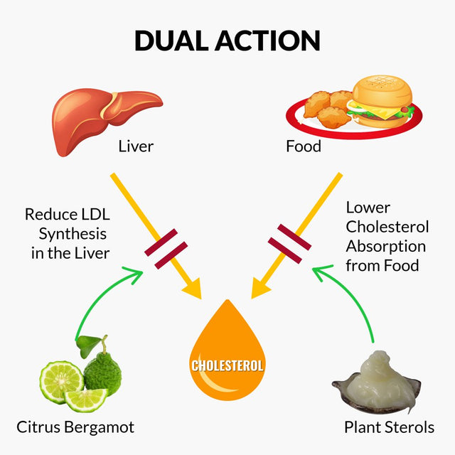 Citrus Bergamot Cholesterol Support Supplement with Plant Sterols, Omega 3, Turmeric, Aged Garlic, Niacin and Olive Leaf