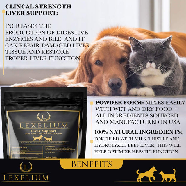 Lexelium Liver Support Supplement for Dogs and Cats - Great for Detoxing and Helps Kidney, Liver & Skin Function - Cat Liver Support - Milk Thistle + Lysine + Choline Bitartrate + Methionine - 200G