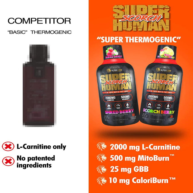 Alpha Lion Scorch, Weight Management, Mitoburn & Caloriburn with Carnitine, Stim-Free, Increase Thermogenesis & Metabolism, Zero Calorie Liquid Shot (31 Servings, Strawberry & Vanilla)