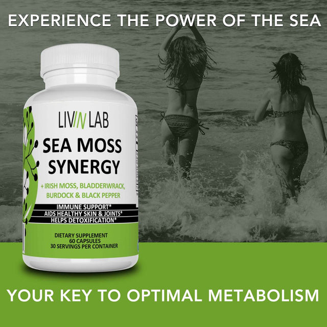 Livin Lab Sea Moss Synergy - Organic Irish Moss, Burdock Root, and Bladderwrack Capsules - Immune System, Gut Cleanse & Thyroid Supplement - All-Natural Sea Moss Powder