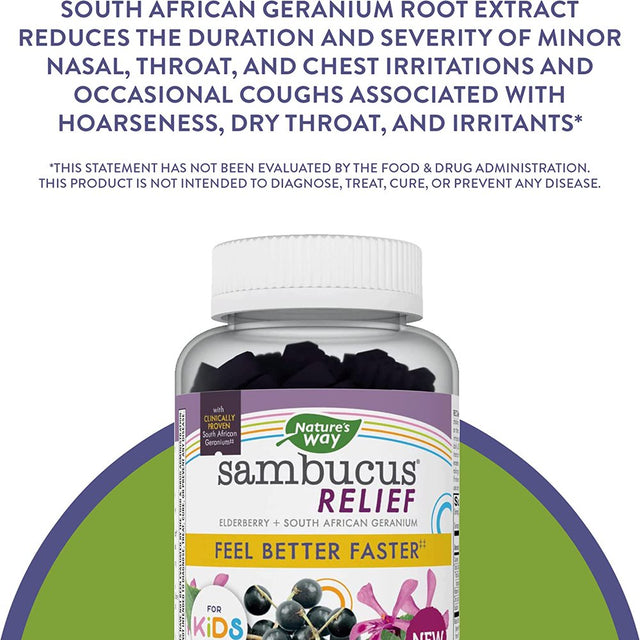 Nature’S Way | Sambucus Relief Kids Gummies, Reactive Support, South African Geranium, with Elderberry, Vitamin C & Zinc | 60 Gummies