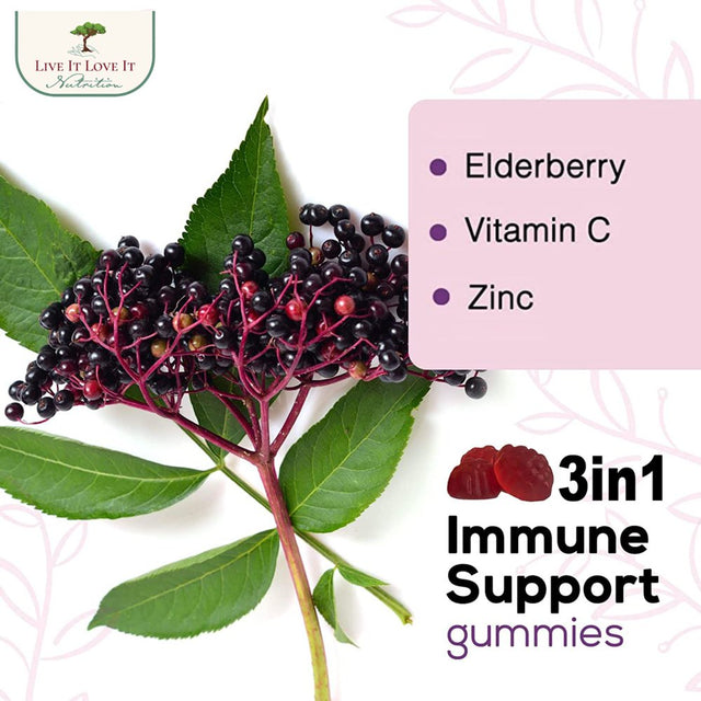 Live It Love It Elderberry Gummies, Elderberry Flavor 60 Gummy for Immune Support & Overall Wellness