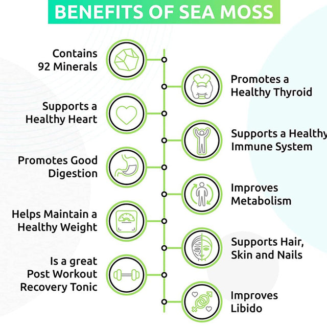 Trueseamoss Wildcrafted Irish Sea Moss Gel – Nutritious Raw Seamoss Rich in Minerals, Proteins & Vitamins – Antioxidant Health Supplement, Vegan-Friendly Made in USA (Pineapple, 5)