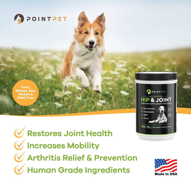 POINTPET Hip and Joint Supplement with Glucosamine & MSM for Dogs, 120 Soft Chews