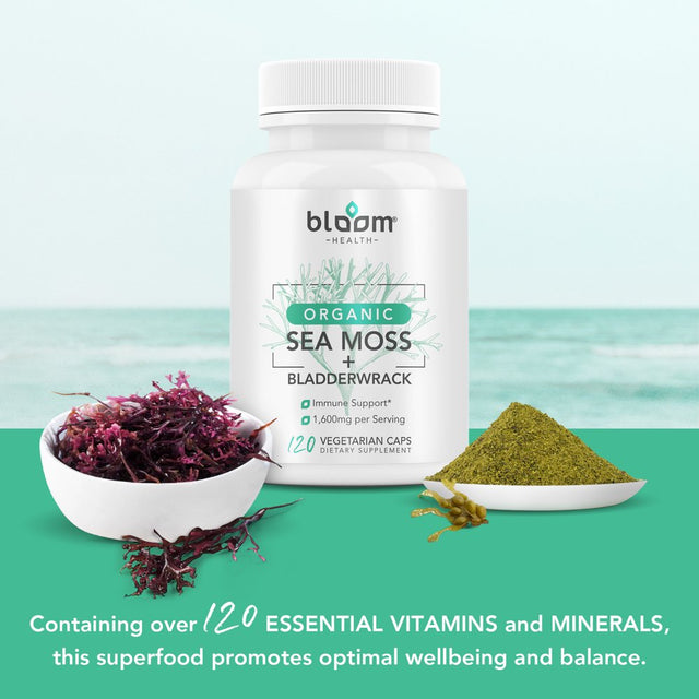 Bloom Health Sea Moss Supplement - Organic Irish Moss for Immune Support - Non-Gmo Seamoss Capsules for Thyroid Health - Vegan Raw Seamoss Pills with Organic Bladderwrack Powder - 120 Vegetarian Caps