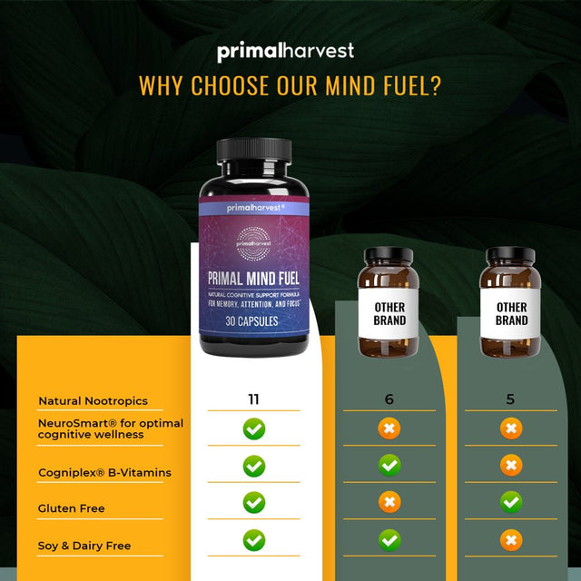 Brain Supplements by Primal Harvest, Primal Mind Fuel 30 Brain Booster Capsules