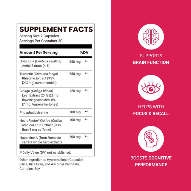 Life Seasons - Neuroq Memory & Focus Extra Strength - 1020 Mg per 2 Capsules