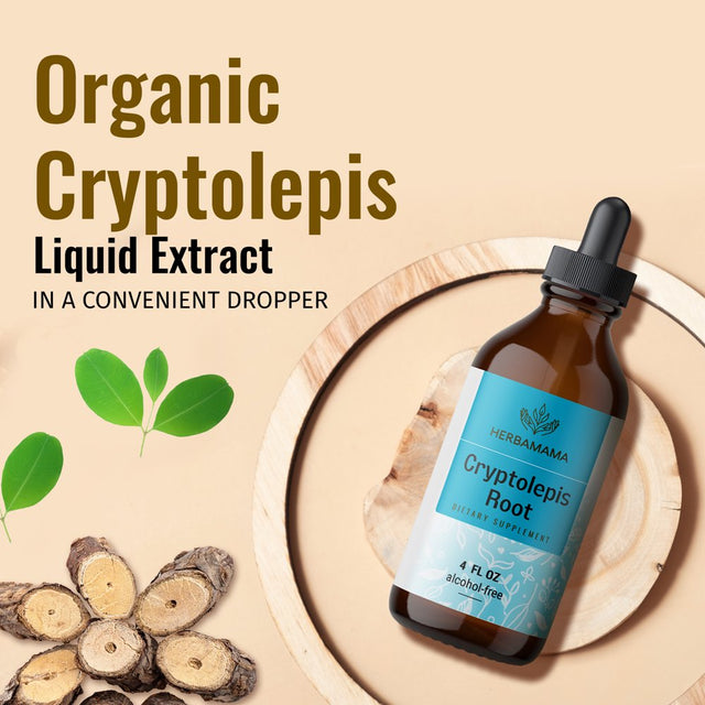 HERBAMAMA Cryptolepis Liquid Extract - Organic Tincture for Immune Support, Herbal Drops 4 Fl. Oz