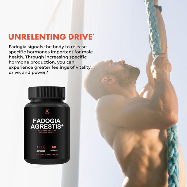 Fadogia Agrestis, Tongkat Ali & Beta Ecdysterone 1000Mg - USA Third Party Tested Supplement - Powerful Extracts to Support Athletic Performance & Muscle Mass - Veggie Capsules Supplements