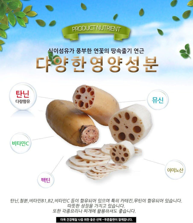 Lotus Root Powder Natural 100% Pure Healthy Fiber Vitamin C Amino Acid 연근 연근분말 연근가루 (100G)