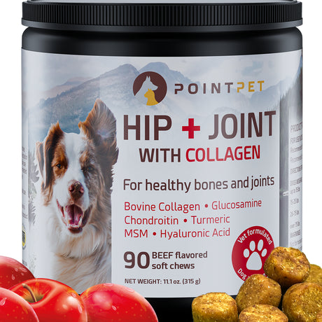 Pointpet Dog Hip & Joint Support with Bovine Collagen, Vet Formulated Mobility Soft Chews, 90 Beef Flavored Soft Chews