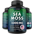 Organic Sea Moss Capsules - Burdock Root, Irish Moss and Bladderwrack Capsules - Immune System, Gut Cleanse & Thyroid Supplement - 120 Irish Seamoss Pills with All-Natural Sea Moss Powder