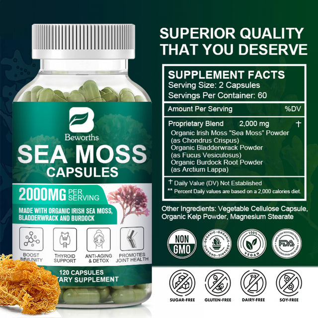 BEWORTHS Organic Sea Moss Capsules 2000Mg with Burdock Root, Irish Moss and Bladderwrack for Joint Health Support & Thyroid Supplement