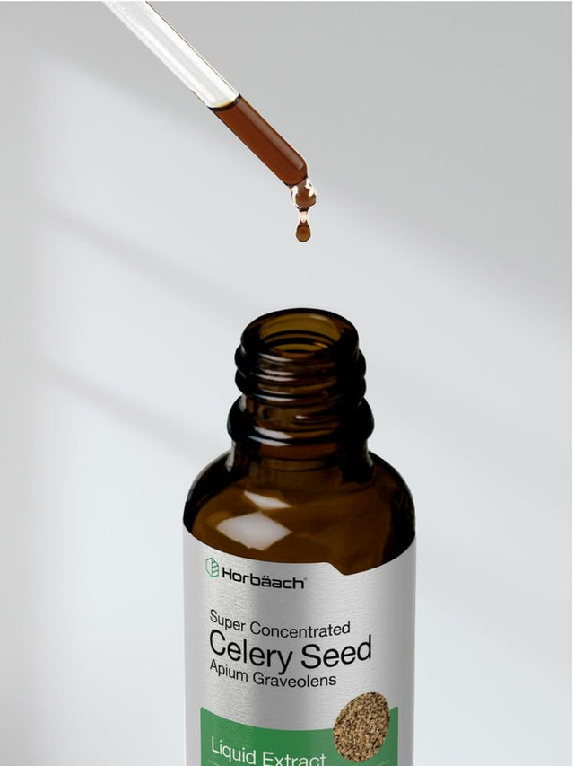 Celery Seed Liquid Extract | 2 Oz | Vegetarian Tincture | by Horbaach