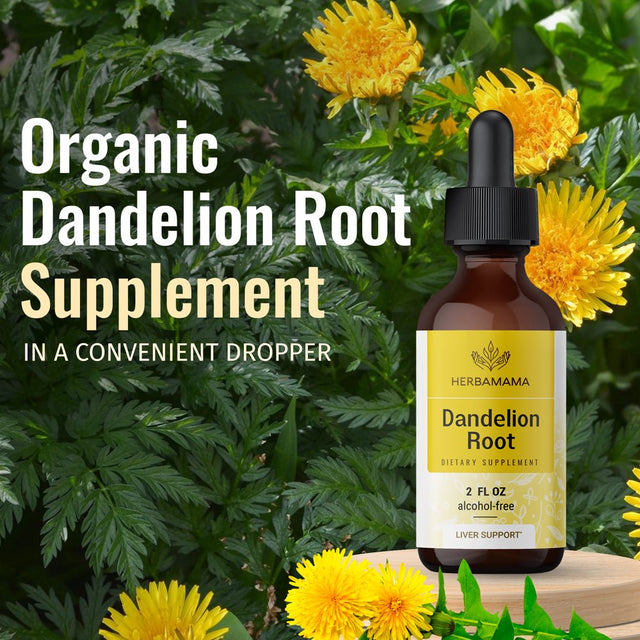 HERBAMAMA Dandelion Root Liquid Extract 2 Fl Oz- Organic Tincture for Immune Support