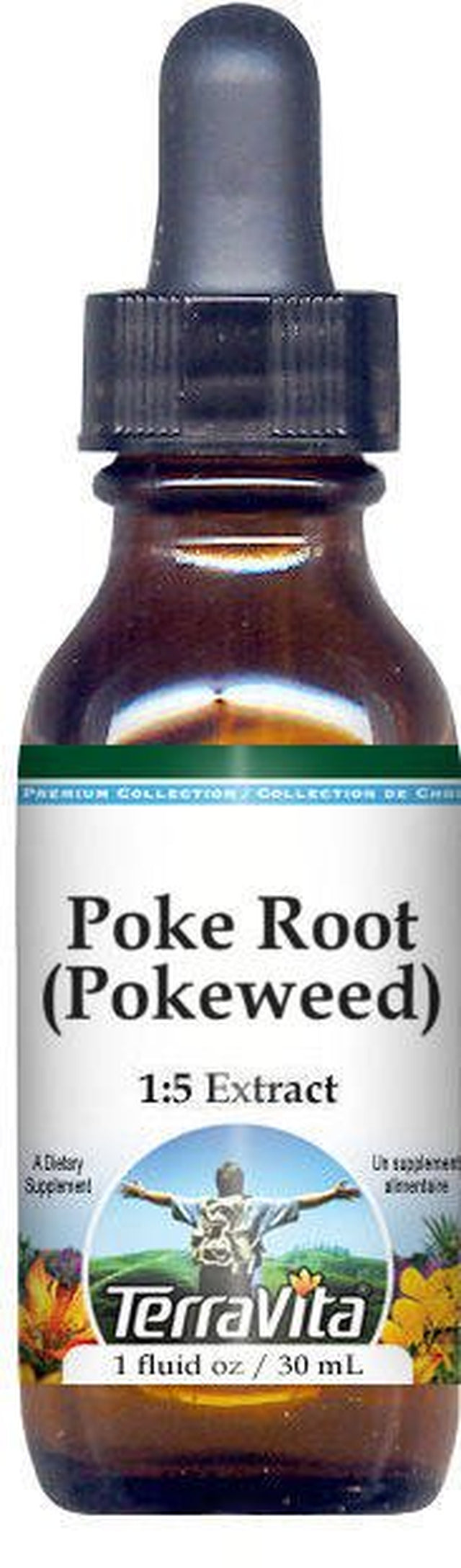 Terravita Poke Root (Pokeweed) - Glycerite Liquid Extract (1:5) - No Flavor, (1 Fl Oz, 1-Pack, Zin: 407411)