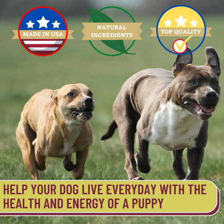 Glucosamine & Turmeric Hip and Joint Chews for Senior Dogs Pain Support 180 Superfood Treats