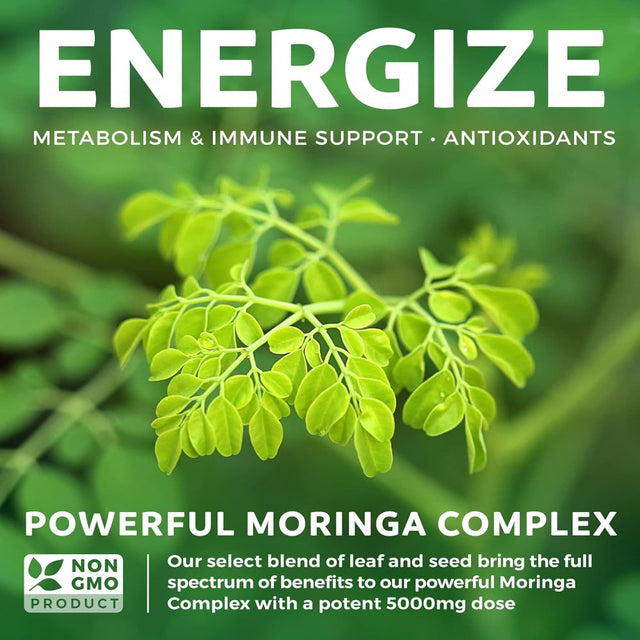 Healths Harmony Moringa Complex (Non-Gmo) - Moringa Superfood Powder Extract - Oleifera Fruit, Nut & Seed Extract - 60 Capsules