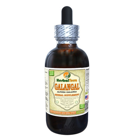 Galangal (Alpinia Galanga) Tincture, Organic Dried Root Liquid Extract (Herbal Terra, USA) 2 Oz