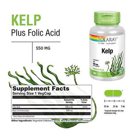 Solaray Kelp 550 Mg with Folic Acid for Healthy Thyroid Function, Energy & Metabolism Support | Non-Gmo | 180 Vegcaps