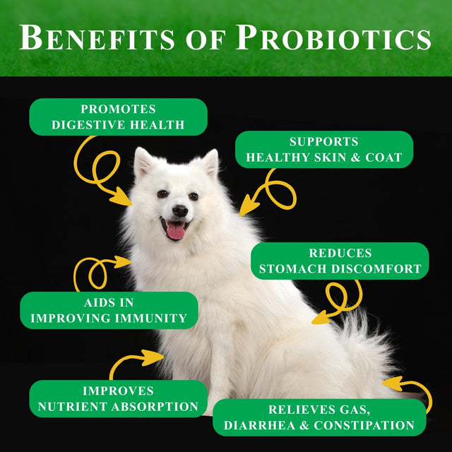 Deluxe Naturals Probiotics for Dogs | All-Natural Dog Probiotic Soft Chews with Enzymes, Prebiotics, Pumpkin | Promotes Digestive Health, Improves Allergy & Immunity - 360 Count (Pack of 4 X 90Ct)